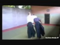 Aikido  jeanfranois perrin sensei 6th dan aikikai 19422008  archive aikido af antsiranana