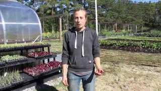 Roswell Farmers and Artisans Market