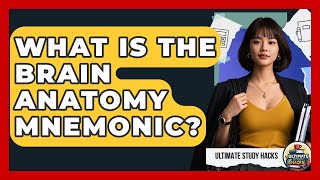 What Is The Brain Anatomy Mnemonic - Ultimate Study Hacks