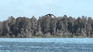 Heres To Your Health Hike