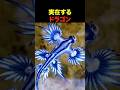 実在するドラゴン