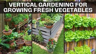 A Complete Guide to Vertical Gardening for Growing Fresh Vegetables