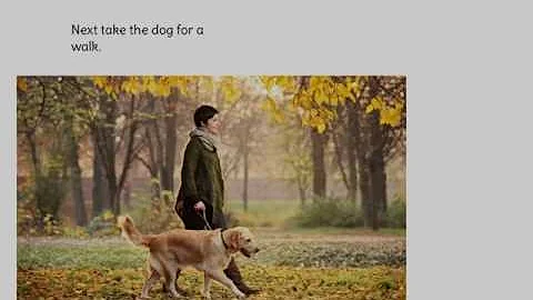 How to Take Care of A Dog