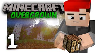 Minecraft Overgrown #1: Getting started... (Vanilla Lets Play)