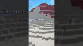 I got 300 FPS in Minecraft on a MacBook