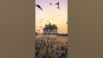 رعدي الكردي تلاوة خاشعة من سورة الأعراف