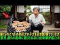 捨てられた7匹の秋田犬の子犬を引き取り育てていたが、翌日、彼らの祖母に信じられない出来事が起こった…#感動ストーリー #日本#ゆっくり解説