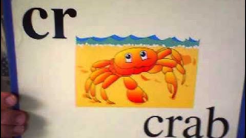 Abeka Basic Phonics Chart 7