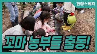 [현장스케치] 장애·비장애 유아가 함께하는 봄맞이 씨감자 심기
