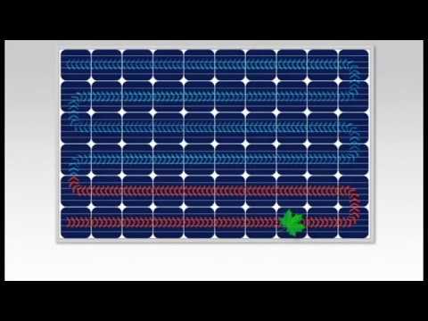Video: Ku bazohet SunPower?
