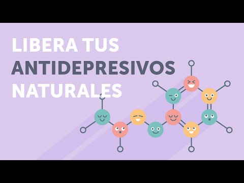 Video: Cómo Estimular El Trabajo De Las Hormonas De La Felicidad