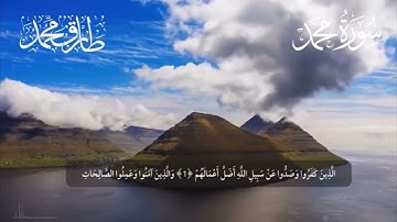 القارئ طارق محمد|| تلاوة خاشعه ماتيسر من سورة محمد Surah Mohamad
