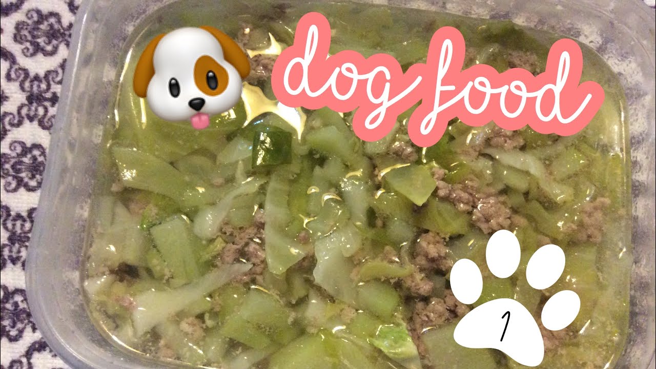 HOMEMADE DOG FOOD RECIPE 1 YouTube