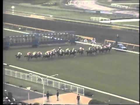 競馬パネル：マックスビューティ「1987年第48回優駿牝馬」 第48回オークス マックスビューティ - YouTube