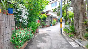 Walking Zoushigaya,Tokyo 4K 60fps HDR