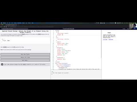 freeCodeCamp: Adjust the Height of an Element Using the height Property