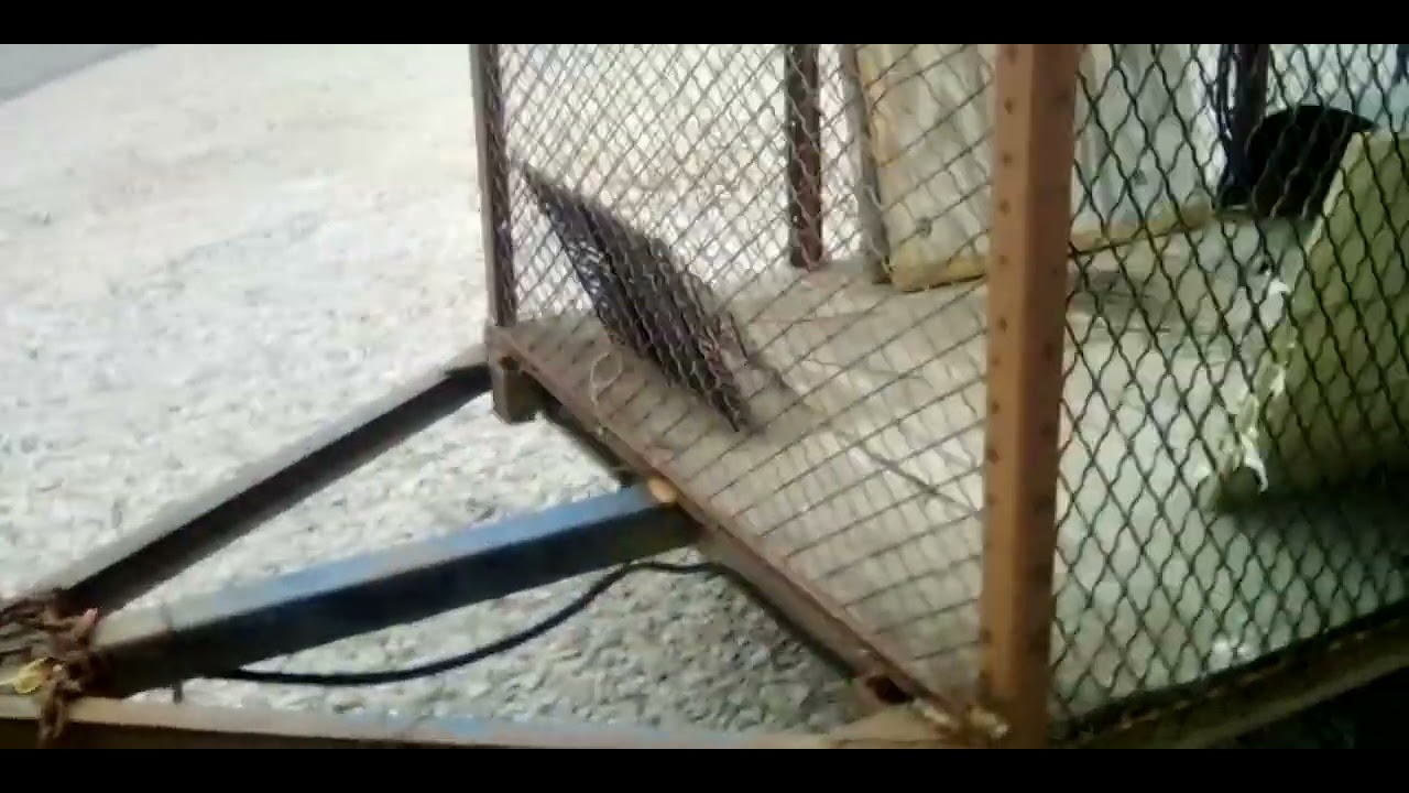 homemade trailer fenders out of 55 gallon drum and scrap metal YouTube