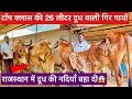 26 लीटर दूध देने वाली गिर गाय राजस्थान में | Aaraadhy gir cow breeding farm Rajasthan