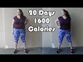 20-Day Health Reboot // 1600 Calories a Day