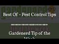 Gardenerd tip of the week  best of  pest control tips