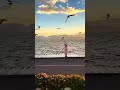 Recursive Sapphire_146