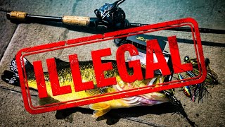 Bass Fishing SO GOOD it should BE ILLEGAL!