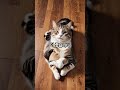 사람들이 의외로 행복을 느끼는 순간은? #행복 #순간 #돈