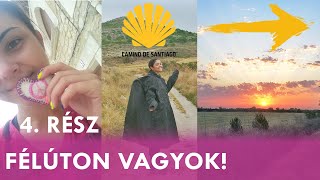 CAMINOvlog#4 - Nem vettek fel az EGYETEMRE?! Itt tudom meg... | Plaura