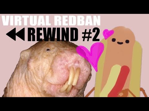 Janice and the Naked Mole Rat - VIRTUAL REDBAN REWIND