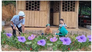 Download Lagu The first flowers bloom in the new yard: the CEO, Bon and Lien help Luan on a business trip. MP3 Download Lagu The first flowers bloom in the new yard: the CEO, Bon and Lien help Luan on a business trip. MP3