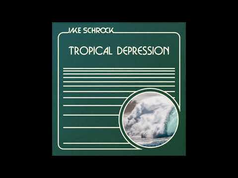Jake Schrock — Jake Schrock - Tropical Depression - 01 - Surface Data