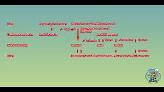 steam oauth (cognito, restful, Steamworks API Blueprint)
