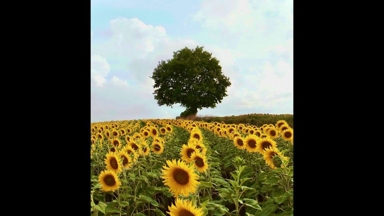 [FREE] Travis Scott X Gunna TYPEBEAT - “FRUEHLING“ | 2026