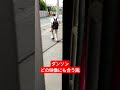 ダンソンどの映像にも合う説