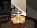 バターシュガー餅🧈‎🤍余った餅と家にあるものでめっちゃ簡単に作れちゃうから、ダイエット中のひとは注意です⚠️#簡単レシピ #餅アレンジ #簡単おやつ