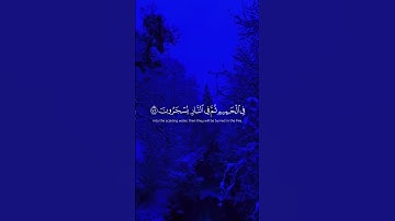 ألم تر إلى الذين يجادلون في آيات الله أنى يصرفون | الآية 69 من سورة غافر #ياسر_الدوسري