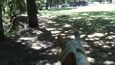 Rick Gore Gets Bucked Off Horse When Wild Turkeys ...