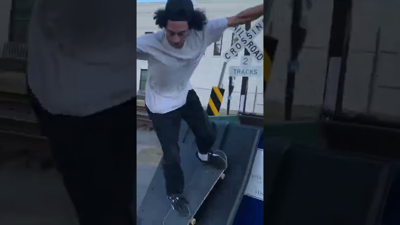 Cops vs skater
