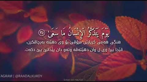 يوم يتذكّر الانسان ماسـَعىَ 🌾بصوت القارئ (رعد الكردي)