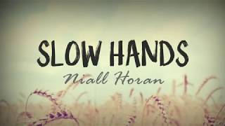 Slow Hands - Niall Horan (Lyrics)