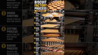 Biscuit Factory Process Step By StepHow Biscuits Are Made in Factory