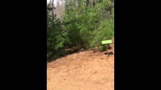 Bench jump fail FULL VERSION