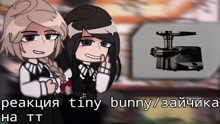 видео: реакция tiny bunny/зайчика на тт (будущее) картинка: реакция tiny bunny/зайчика на тт (будущее)