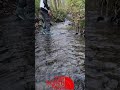 The North Face Back To Berkeley III Hiking Boots Waterproof Test