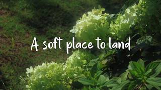 A soft place to land  | Piano Playlist screenshot 2