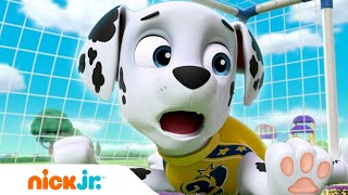 PAW Patrol | I cuccioli giocano a calcio! | Nick Jr. Italiano