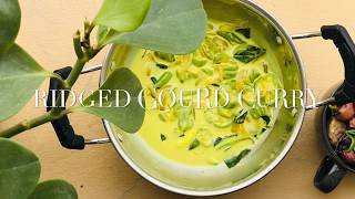 Ridged Gourd Curry වැටකොළු කරිය பீர்க்கங்காய் கறி