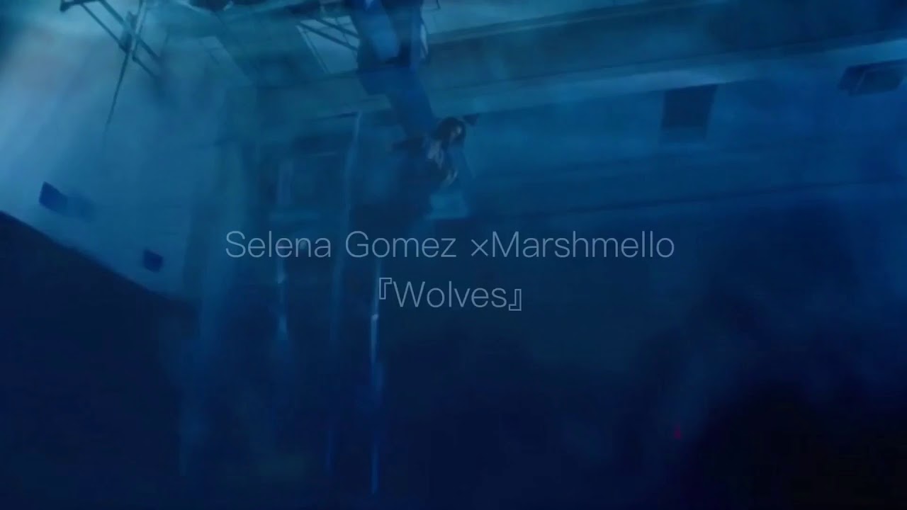 💖和訳 Selena Gomez × Marshmello - Wolves