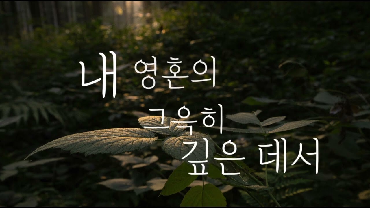 [묵상][30분 연속 듣기] 내 영혼의 그윽히 깊은 데서 For Away in the Depths of My Spirit 