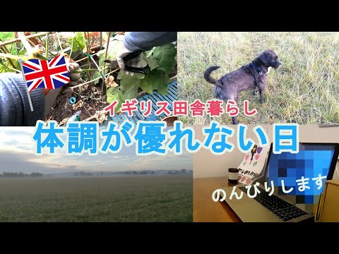 【日常生活Vlog】イギリス生活/体調不良の日/好きな事をして気晴らしする